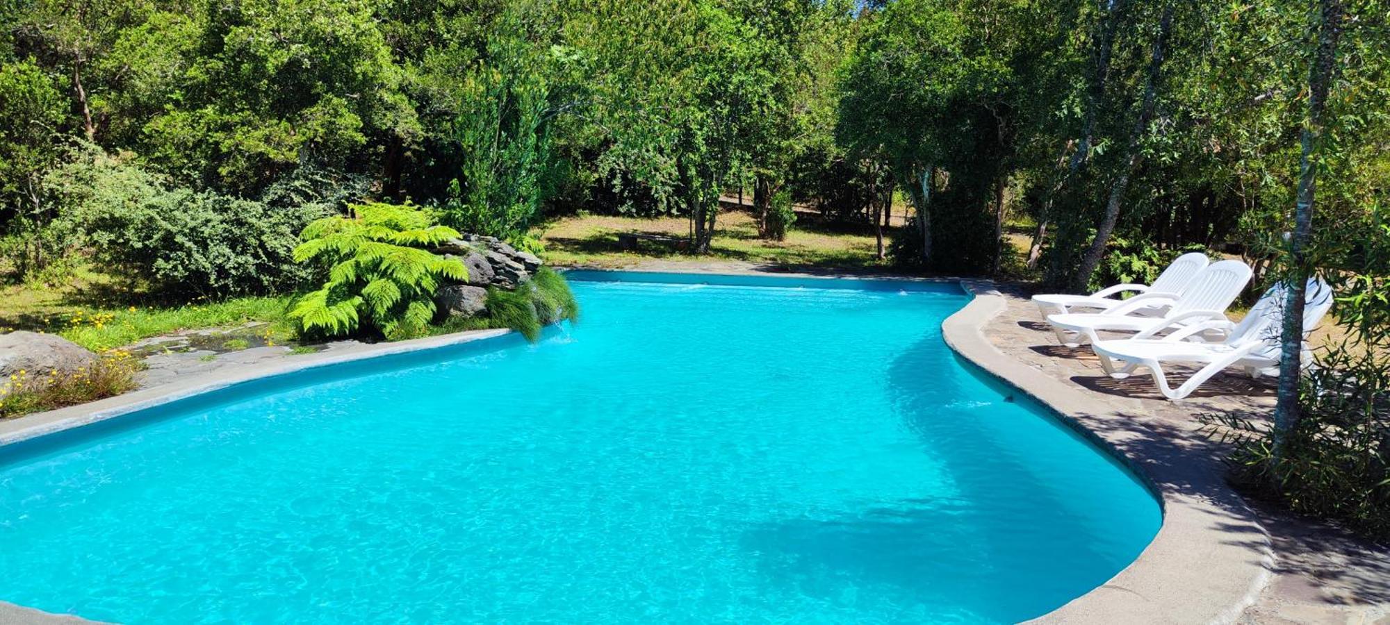 Bambu Lodge ปูกอน ภายนอก รูปภาพ